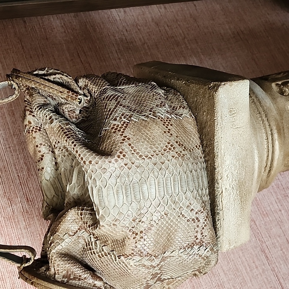 Bottega Veneta Leather Limited Edition Hobo Pytho… - image 4